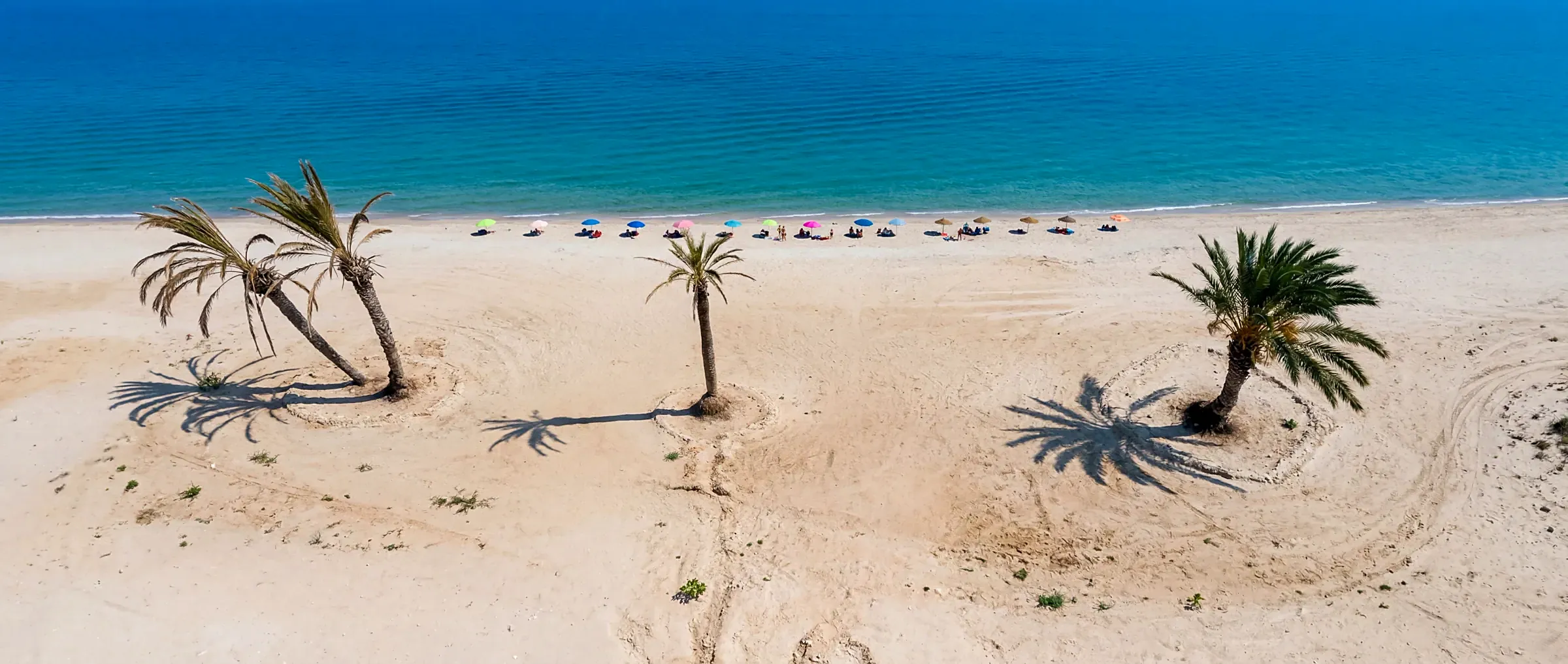 Palmiers sur la plage de sable de Chott Meriem, face à la mer turquoise