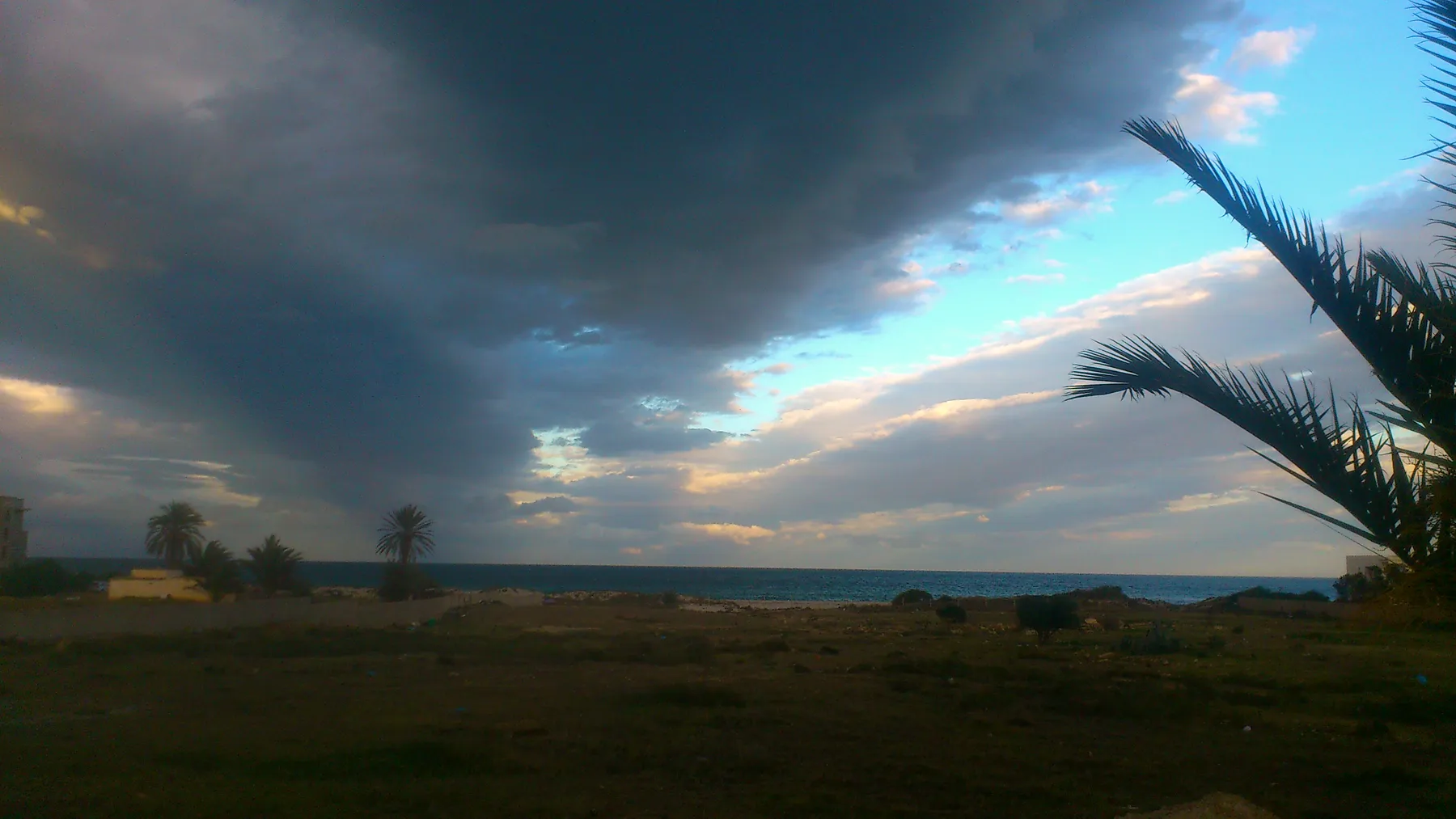 Crépuscule sur Chott Meriem, nuages et palmier